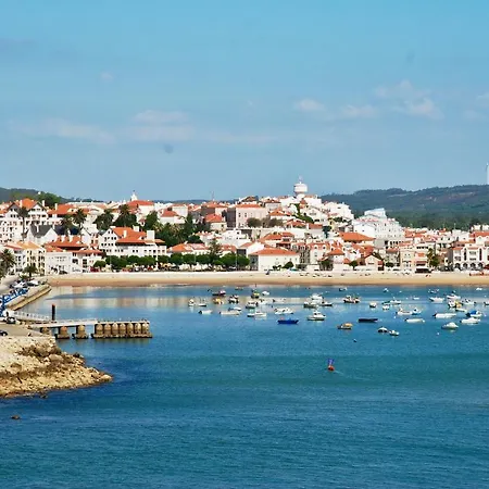 Lavender Fields * Salir de Porto